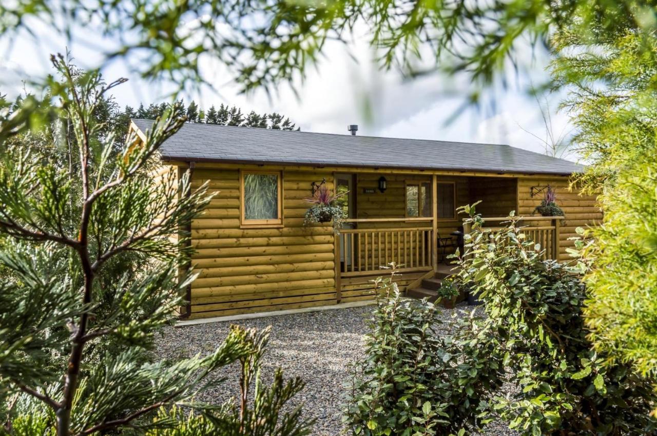 Laurel Lodge - 2 Bedroom Log Cabin - St Florence Saint Florence Екстериор снимка